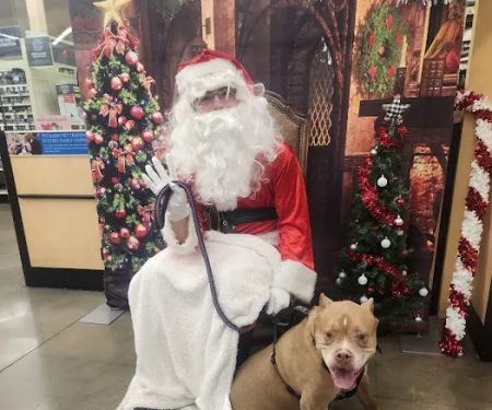 PetSmart Veterinary Services - Phoenix (Metro Center)