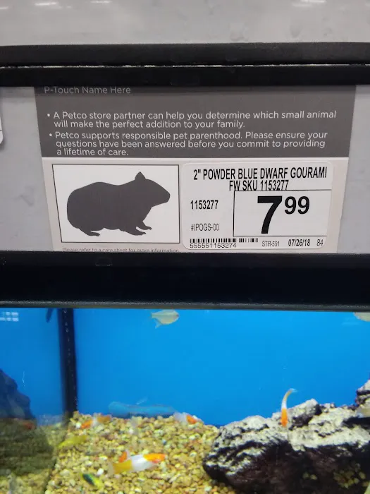 Petco Picture 3