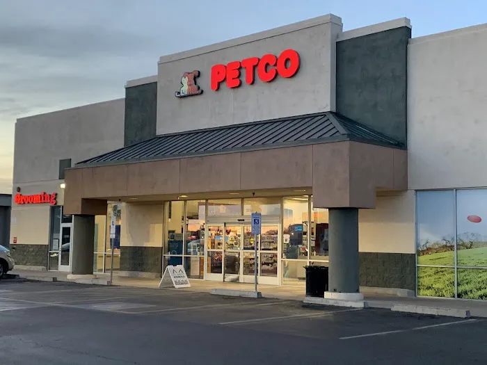 Petco Picture 9