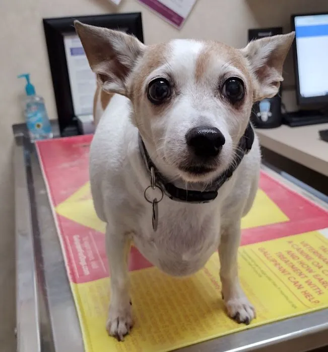 43rd Avenue Animal Hospital Picture 8