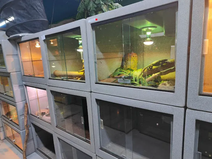 CUSTOM CREATURES PET SHOP Picture 8