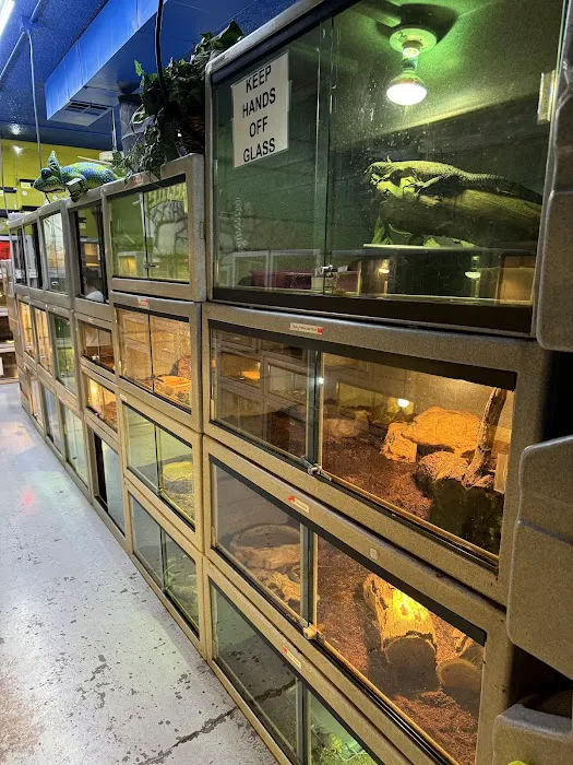CUSTOM CREATURES PET SHOP Picture 5