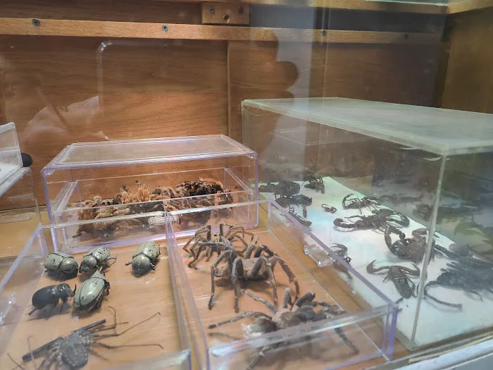 CUSTOM CREATURES PET SHOP Picture 6
