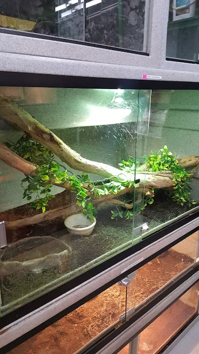CUSTOM CREATURES PET SHOP Picture 10