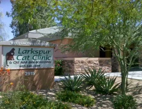 Larkspur Cat Clinic Picture 8