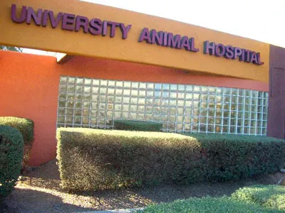 VCA University Animal Hospital Picture 1