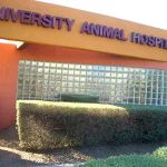 VCA University Animal Hospital