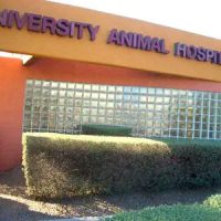 VCA University Animal Hospital ico