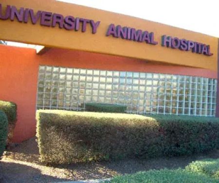 VCA University Animal Hospital