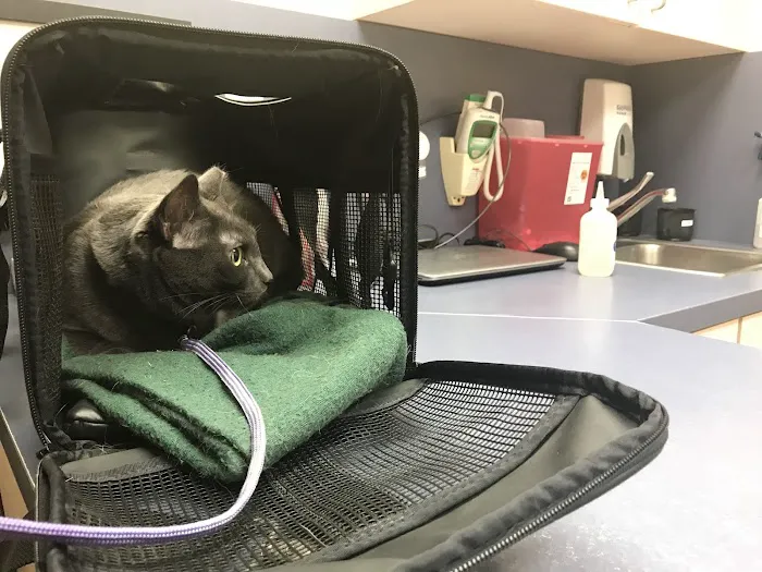 VCA University Animal Hospital Picture 5