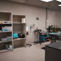 Tempe Pet Clinic ico