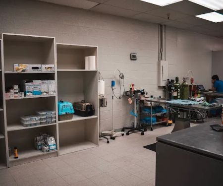Tempe Pet Clinic