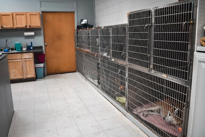 Tempe Pet Clinic Picture 9