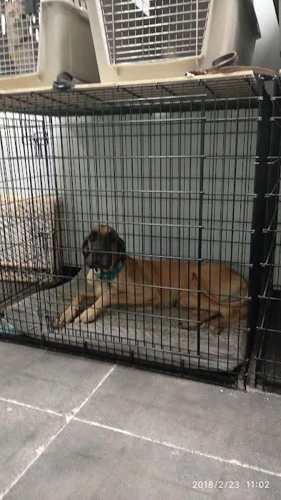 South Point Animal Clinic Picture 7