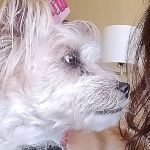 Tempe Veterinary Hospital