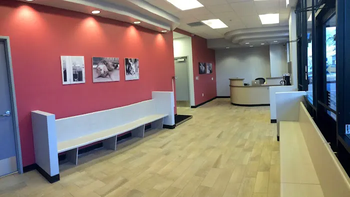 Phoenix Veterinary Center Picture 5