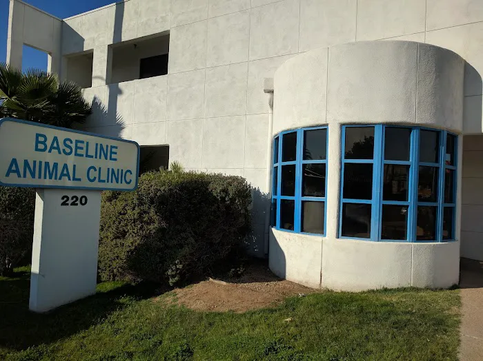 Baseline Animal Clinic Picture 4