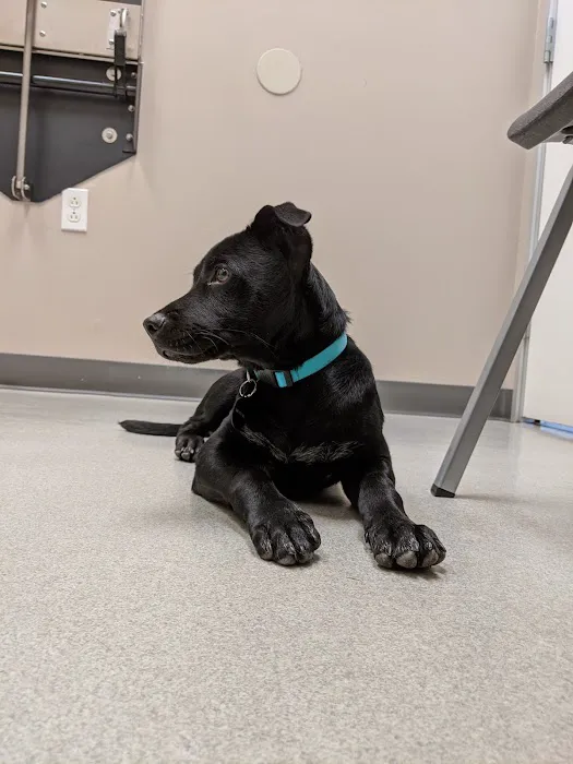 Baseline Animal Clinic Picture 6