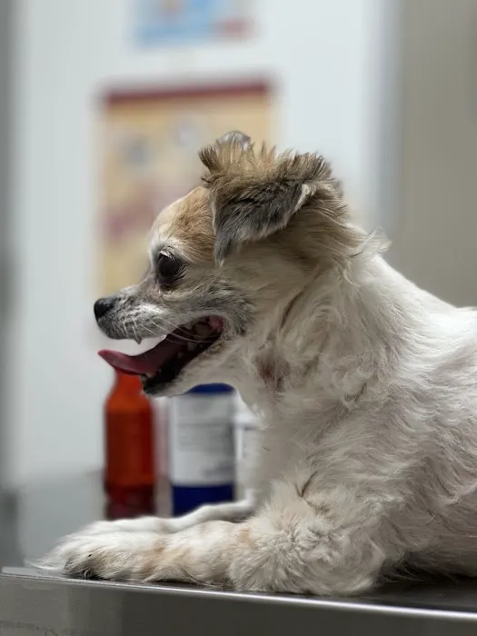 Baseline Animal Clinic Picture 8