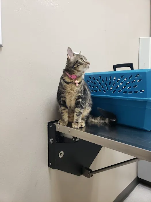 Baseline Animal Clinic Picture 5