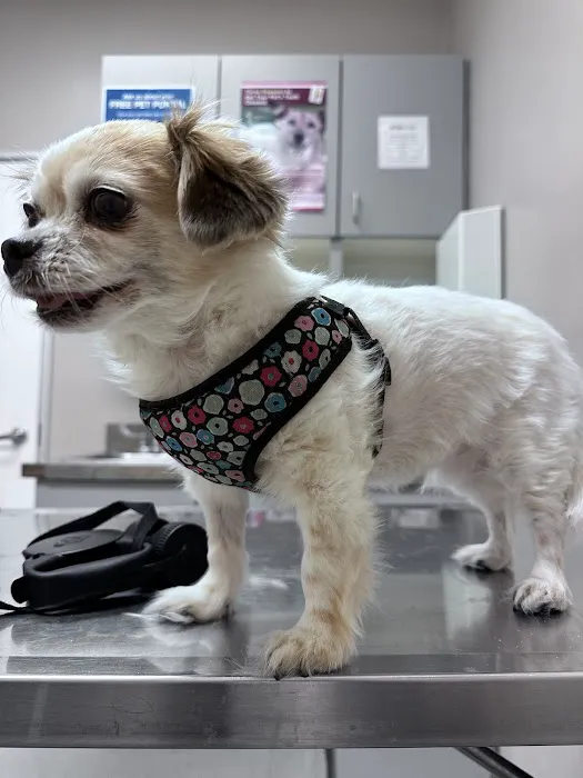 Baseline Animal Clinic Picture 10