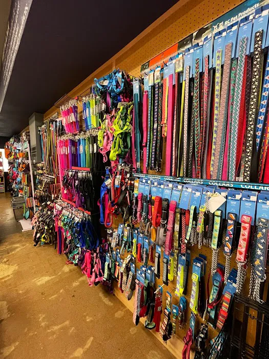 Pet Planet College Park Picture 7