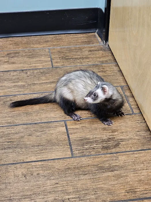 Hayden Road Animal Hospital Picture 4