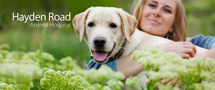 Hayden Road Animal Hospital Picture 7