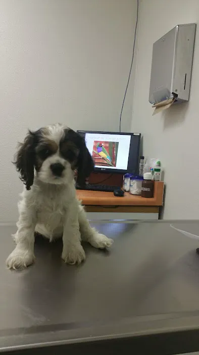 Hayden Road Animal Hospital Picture 8