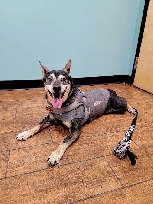 Hayden Road Animal Hospital Picture 2