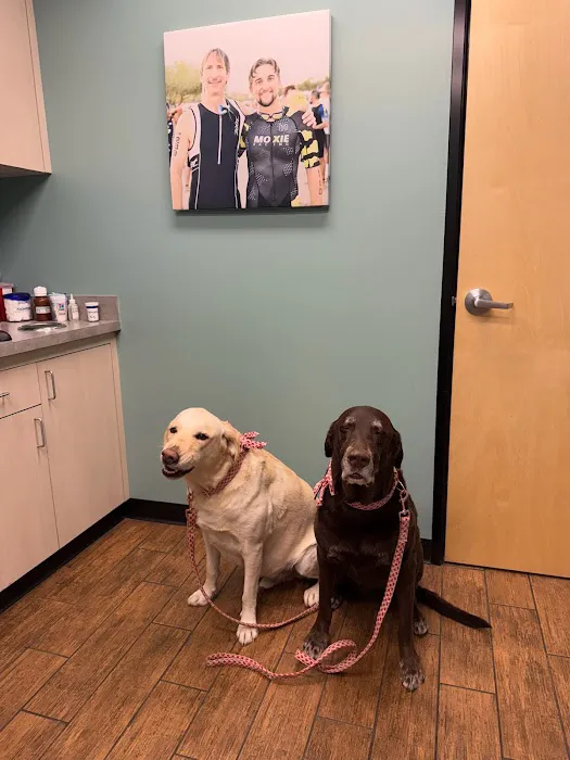 Hayden Road Animal Hospital Picture 3