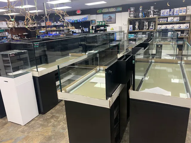 Discount Aquarium Fish and Reef Picture 1