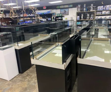 Discount Aquarium Fish and Reef