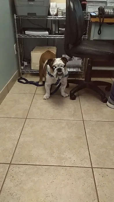 Low Cost Veterinary Surgery Clinic of Scottsdale Picture 1