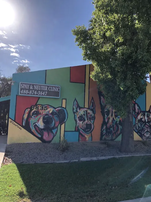 Low Cost Veterinary Surgery Clinic of Scottsdale Picture 6