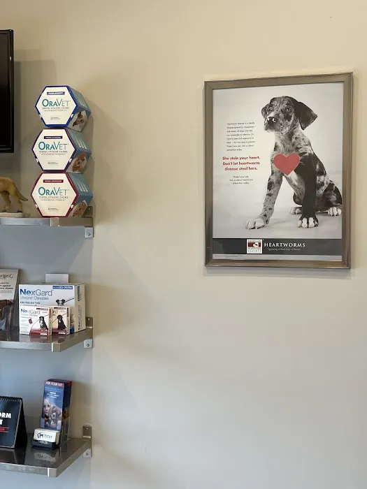 Aztec Animal Hospital Picture 8