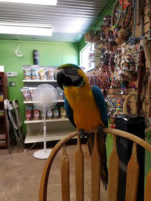 Just Beak-Cause, Inc. Picture 3