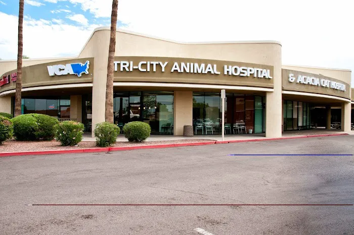 VCA Tri City Animal Hospital and Acacia Cat Hospital Picture 2