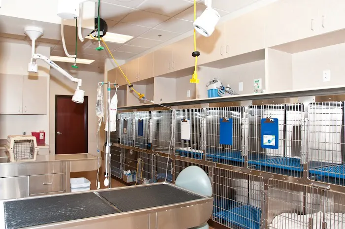 VCA Tri City Animal Hospital and Acacia Cat Hospital Picture 6