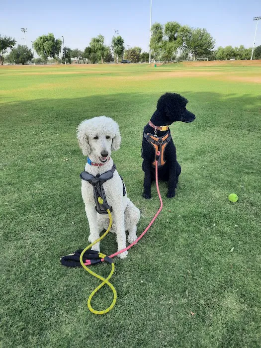 Tempe Lake Veterinary Clinic & Pet Resort Picture 9