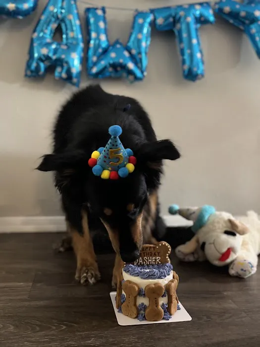 Donnie's Doggie Desserts LLC Picture 1