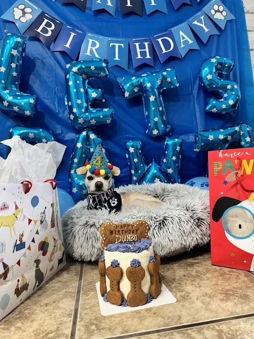 Donnie's Doggie Desserts LLC Picture 8