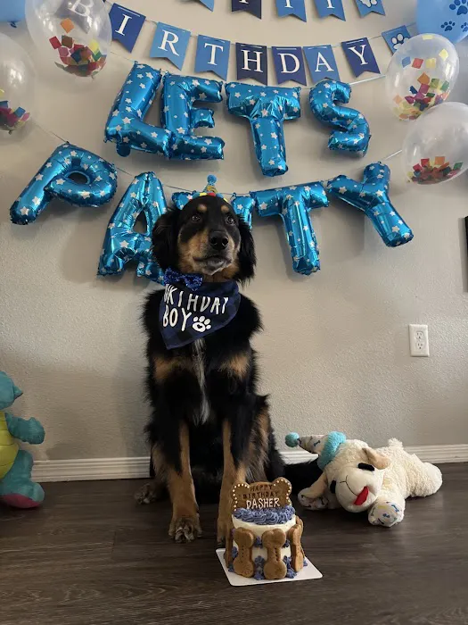Donnie's Doggie Desserts LLC Picture 7