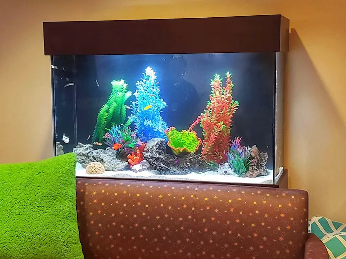 That Big Fish Store Picture 9