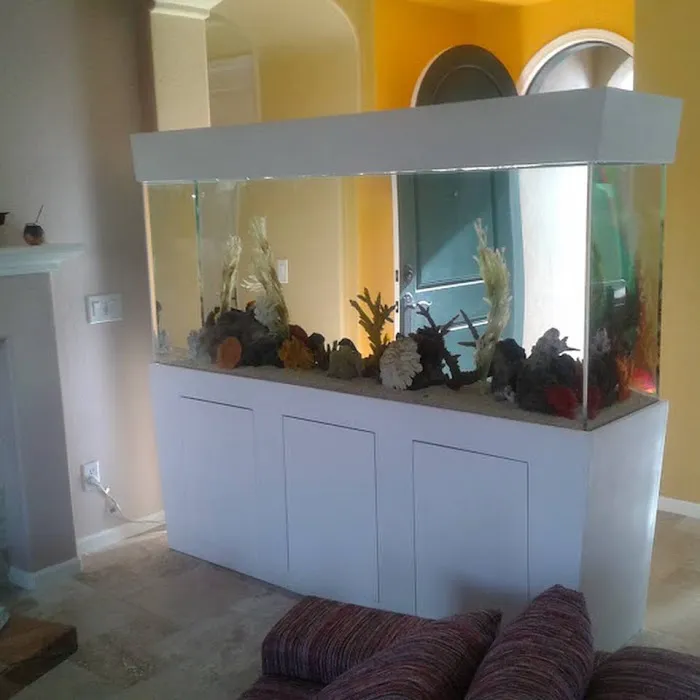 That Big Fish Store Picture 4