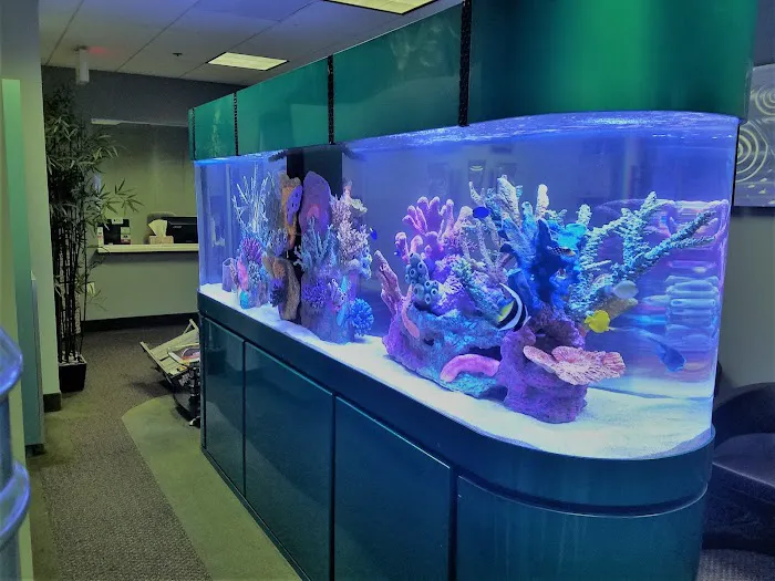 That Big Fish Store Picture 3