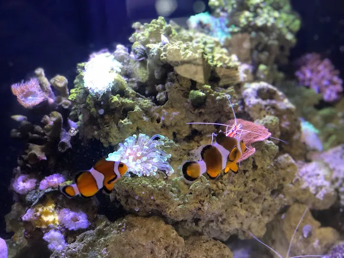 That Big Fish Store Picture 7