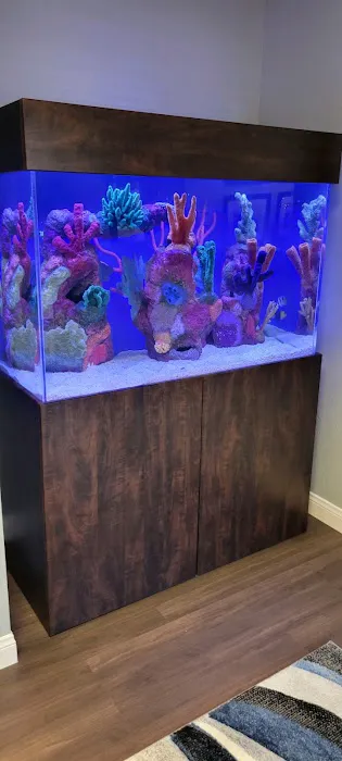 That Big Fish Store Picture 2