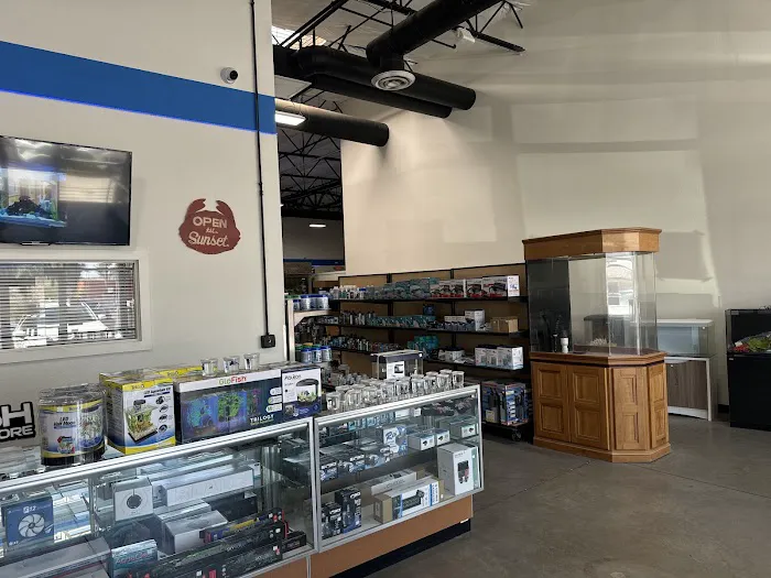 That Big Fish Store Picture 10