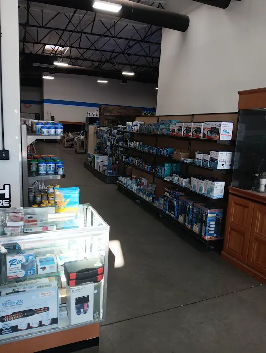 That Big Fish Store Picture 7